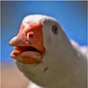 Meet your Posher, Luke